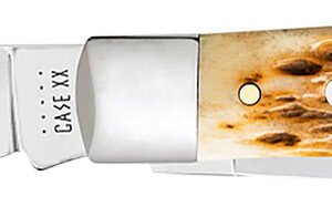 Case 00164 Trapper  Medium 3.25"/3.27" Folding Clip Point/Spey Plain Mirror Polished Tru-Sharp SS Blade Peach Seed Jigged Amber Bone Handle